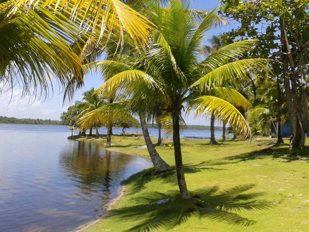 Htl Tubarao Hotel Barra Grande  Ngoại thất bức ảnh