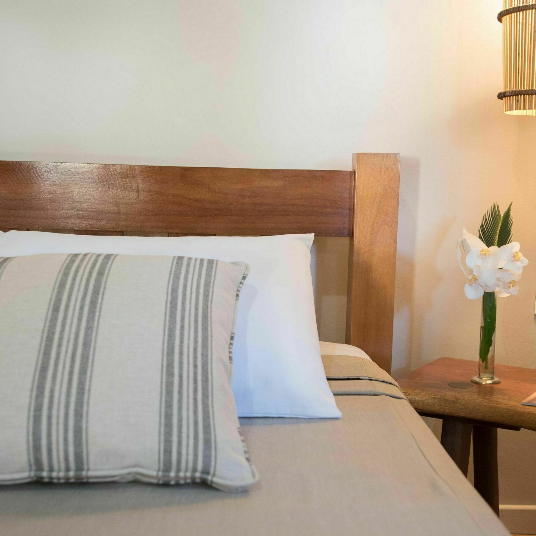 Htl Tubarao Hotel Barra Grande  Ngoại thất bức ảnh
