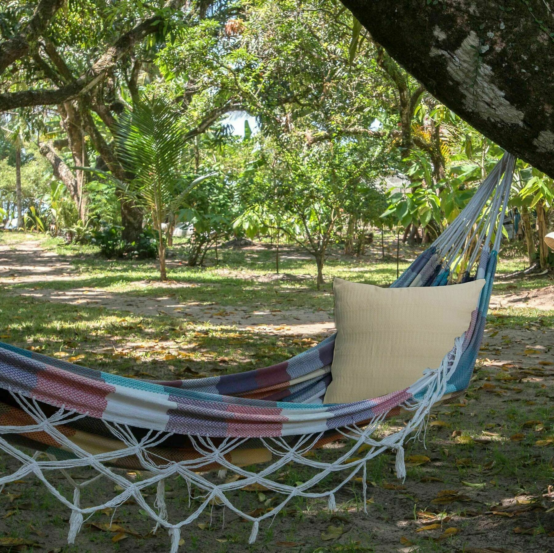 Htl Tubarao Hotel Barra Grande  Ngoại thất bức ảnh